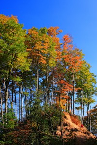 爱尔兰队困境重重，欧洲杯参赛资格前路艰难