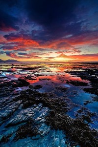 瑞典球星获评最佳球员，荣耀登顶