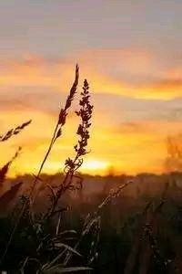 广州恒大力克对手，步入下一轮激烈争斗