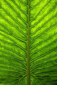 摩纳哥俱乐部公布转会计划，引爆市场